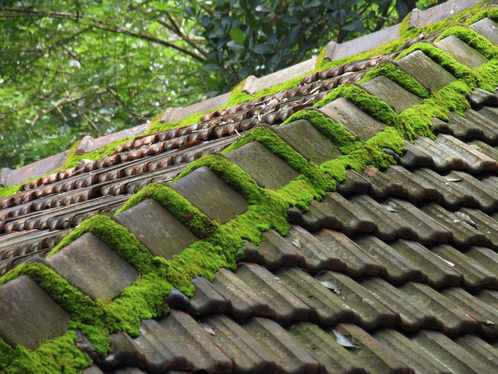 Démoussage de toiture à La Roche-sur-Yon